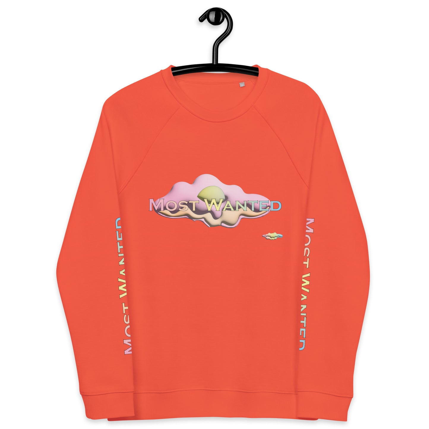 MOST WANTED CLOUDS 🌨️🌨️SWEATER #1 ⭐⭐⭐